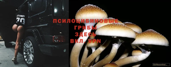 метамфетамин Аркадак