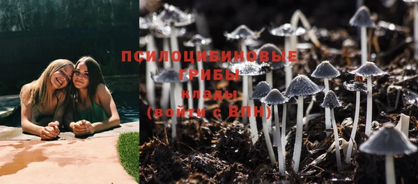 гидропоника Баксан