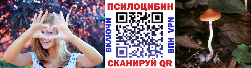 Псилоцибиновые грибы GOLDEN TEACHER  Сокол 